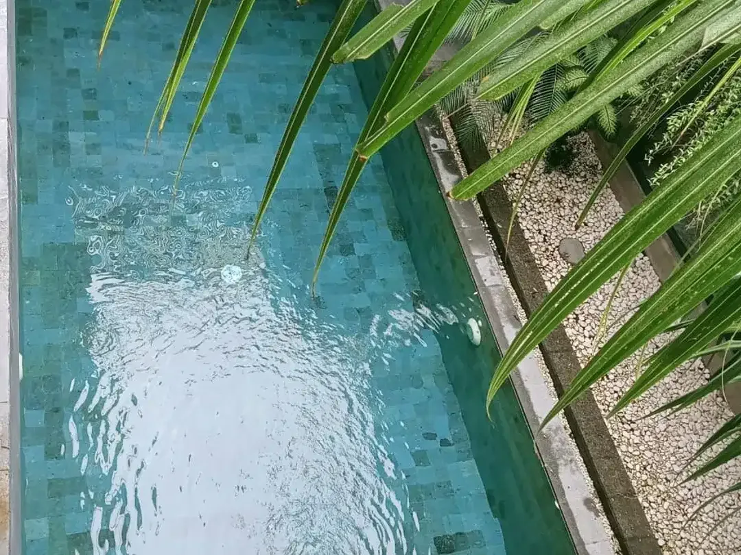 Brand New Luxury Tropical Villa Umalas - Image 4 of 10