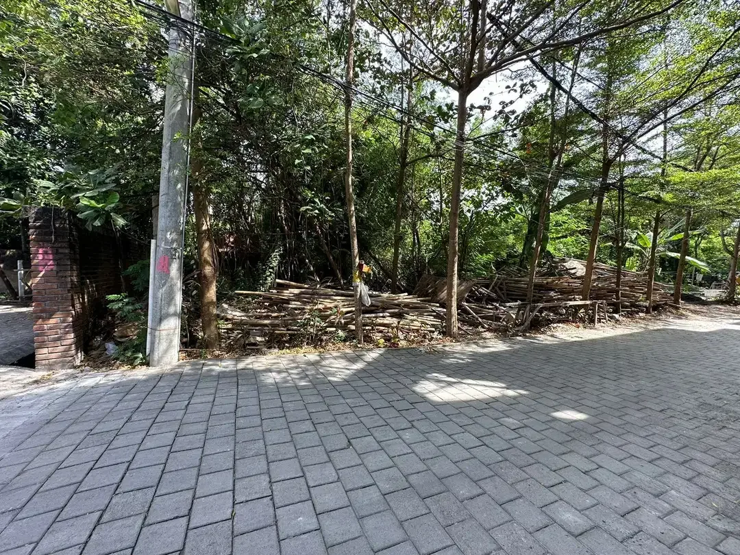 TANAH PREMIUM CANGGU BERAWA HANYA JALAN KAKI KE CANGGU CLUB - Image 8 of 9