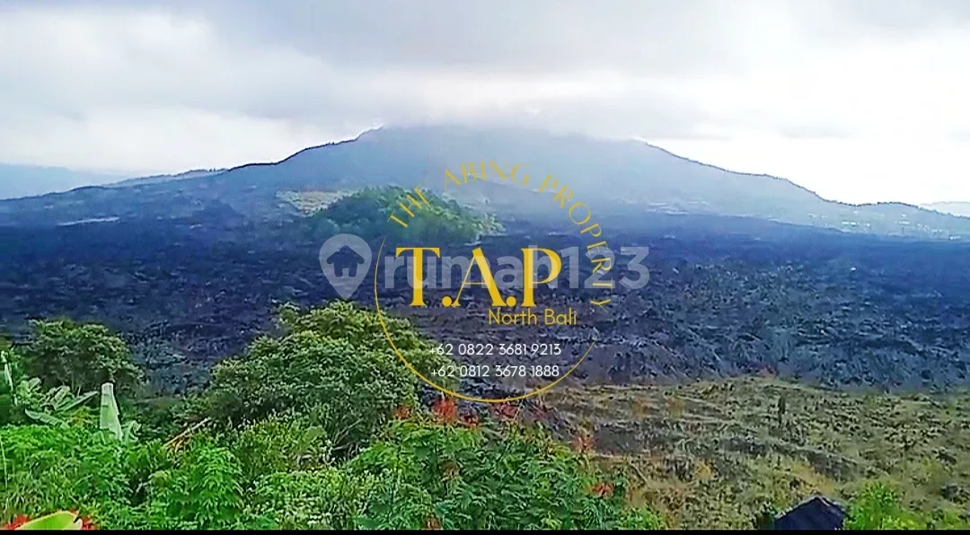 51 Are Shm Full Batur Mountain & Lake View Kintamani Bangli Bali - Image 1 of 4