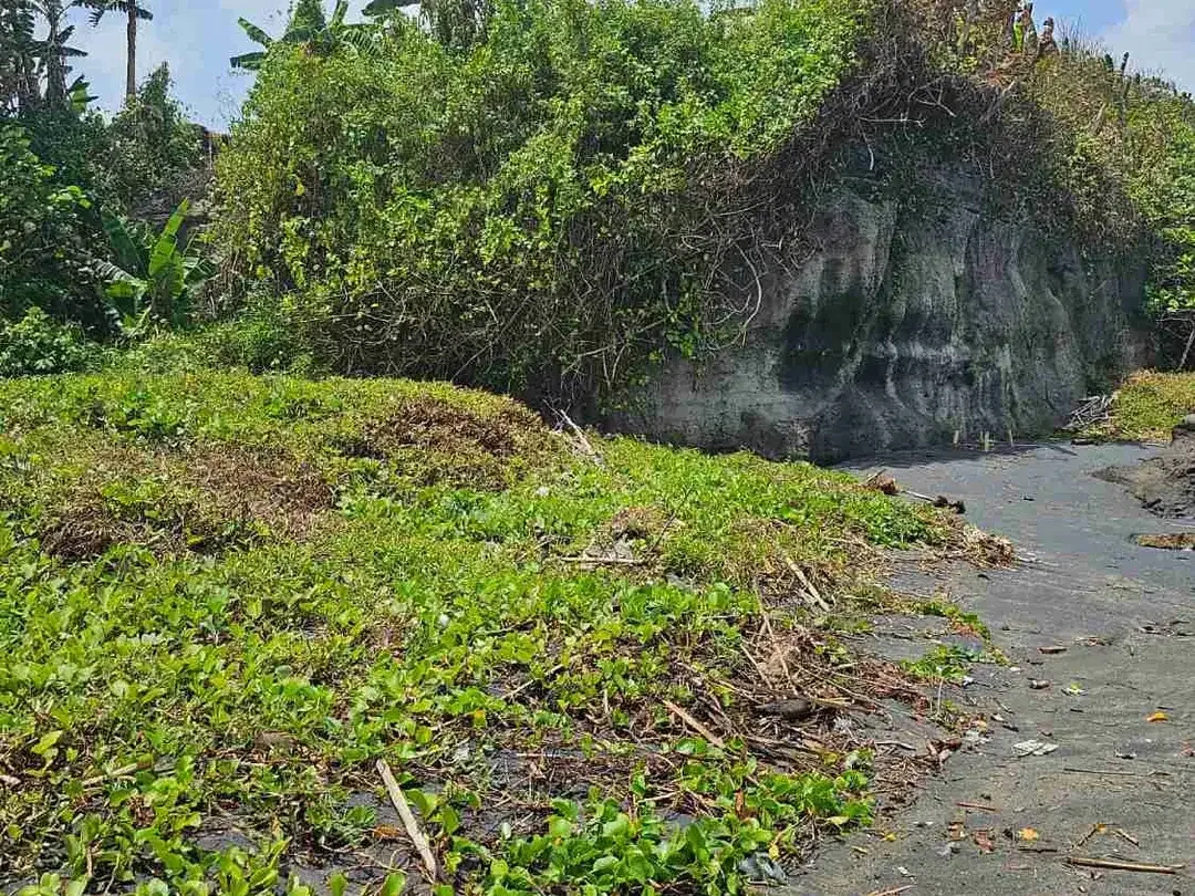 Beach Front Land di Pantai Yeh Gangga Tabanan Bali - Image 3 of 4