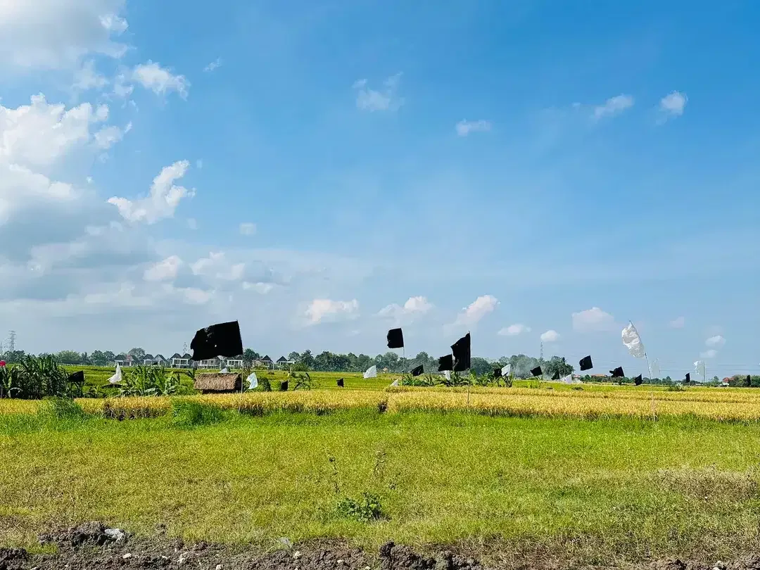 LAND FOR SALE KEDUNGU RICEFIELD VIEW SUROUND - Image 6 of 10