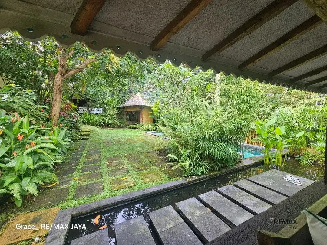 Tanah Premium 6,58 Are dengan Bonus Villa Dijual di Pererenan, Canggu - Image 6 of 8