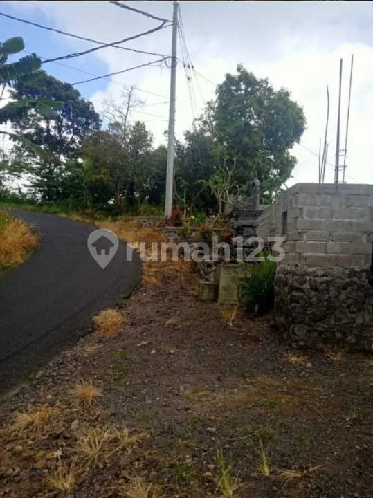 Tanah 6,5 Hektar Pinggir Jalan Bedugul - Super Murah! Investasi Pariwisata - Image 4 of 4