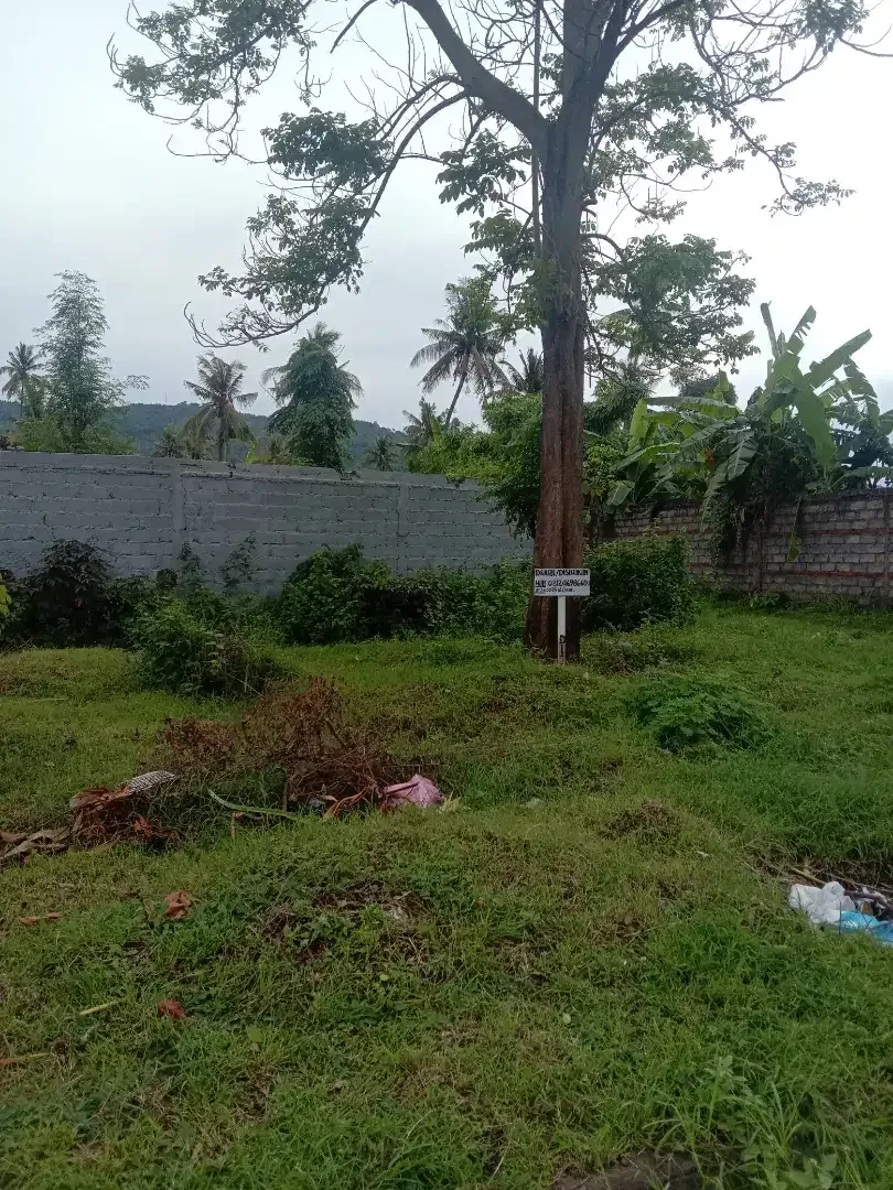 Dijual tanah kapling murah banget di perum elite green lovina residan - Image 8 of 10