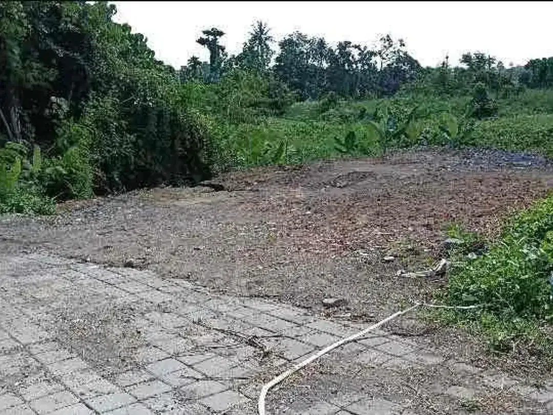 Tanah murah jarang ada  luasan kecil lokasi cemagi zona pariwisata. - Image 4 of 5