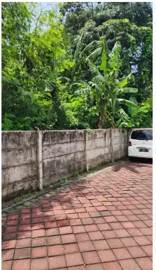 Tanah Bagus di Umalas Kuta Utara, Kerobokan Badung Bali - Image 3 of 10