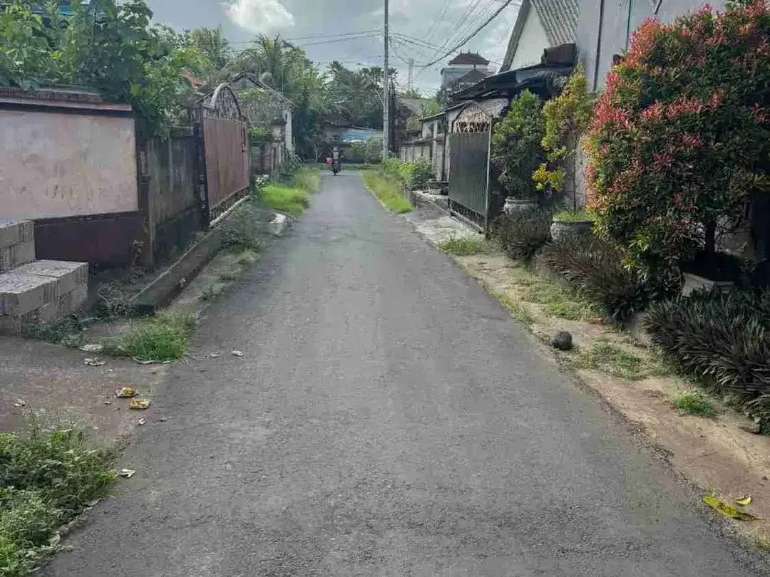 di jual tanah dengan luas 2,71 are di singapadu - Image 2 of 5