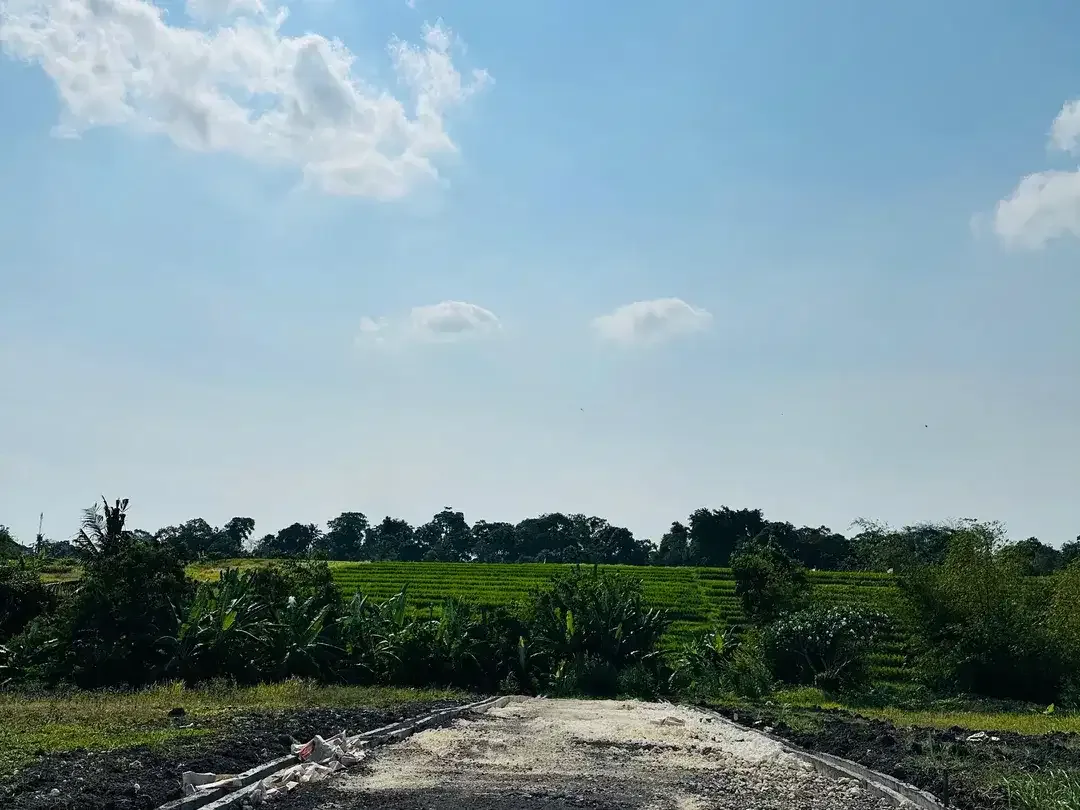 LAND FOR SALE KEDUNGU RICEFIELD VIEW SUROUND - Image 8 of 10