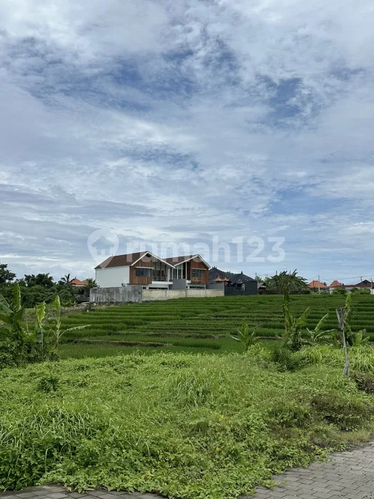 Tanah Dekat Canggu Kedungu Full View Surga - Image 4 of 4