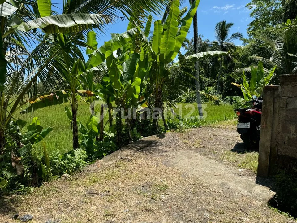 Dijual Lahan Los Sungai Lokasi Ubud View Sawah Sungai Dan Jungle - Image 4 of 4