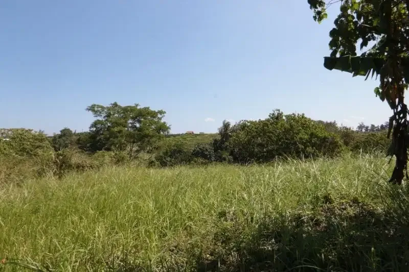 2875 m2 LAND FOR SALE IN KEMENUH UBUD BALI - Image 4 of 6