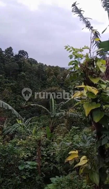 Tanah Strategis Dekat Air Terjun Bedugul, Buleleng - Image 4 of 4