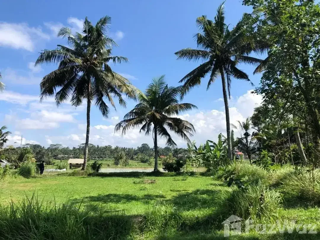 Land for sale in Ubud, Bali - Image 2 of 5