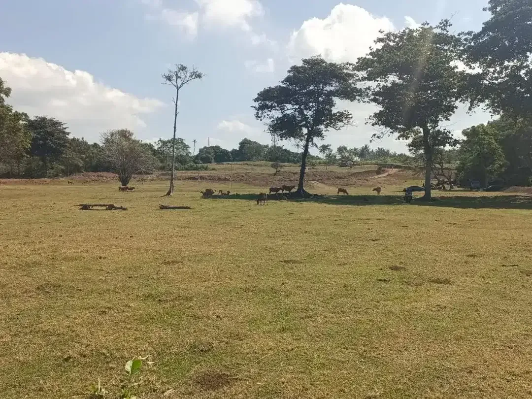 Freehold - Beachfront Land in Great Location Saba - Image 10 of 10