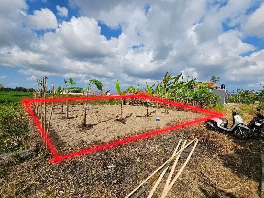 Land for Rent in tumbak bayuh view rice fiel - Image 3 of 3