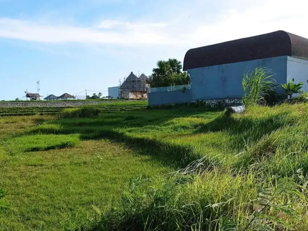 TANAH SUPER PREMIUM WITH RICE FIELD VIEW DI JL SUBAK SARI CENTER CANGGU - Image 10 of 10