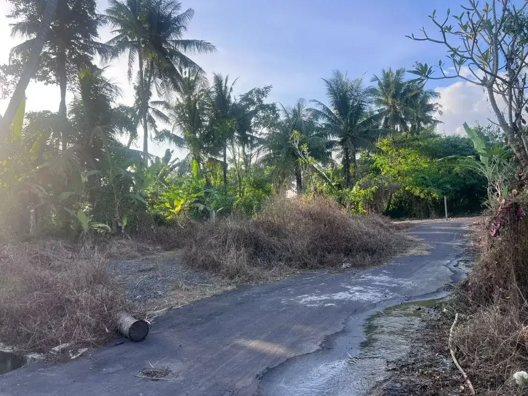 TANAH DIJUAL DI SAKAH, SUKAWATI, GIANYAR – KAWASAN VILLA | SHM | BISA PER 5 ARE - Image 2 of 6