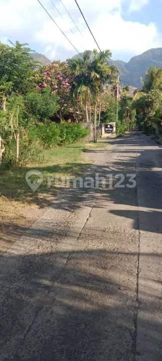 Dijual Lahan Di Pemutaran Bagus Buat Villa - Image 2 of 4