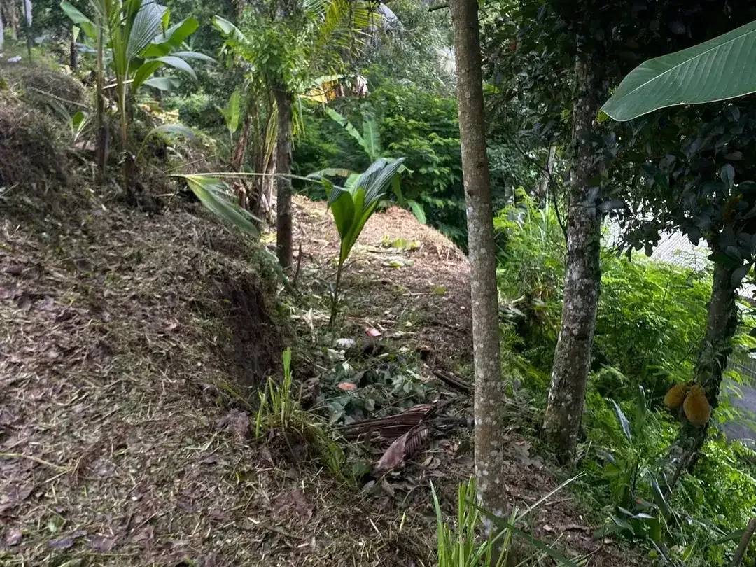 Land for sale in Tegallalang, Bali - Image 2 of 10