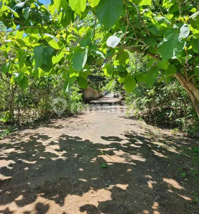 Di Jual Tanah Pecatu Dekat Hotel Savaya Alila Pecatu Sangat Cocok untuk Komplex Villa - Image 3 of 4