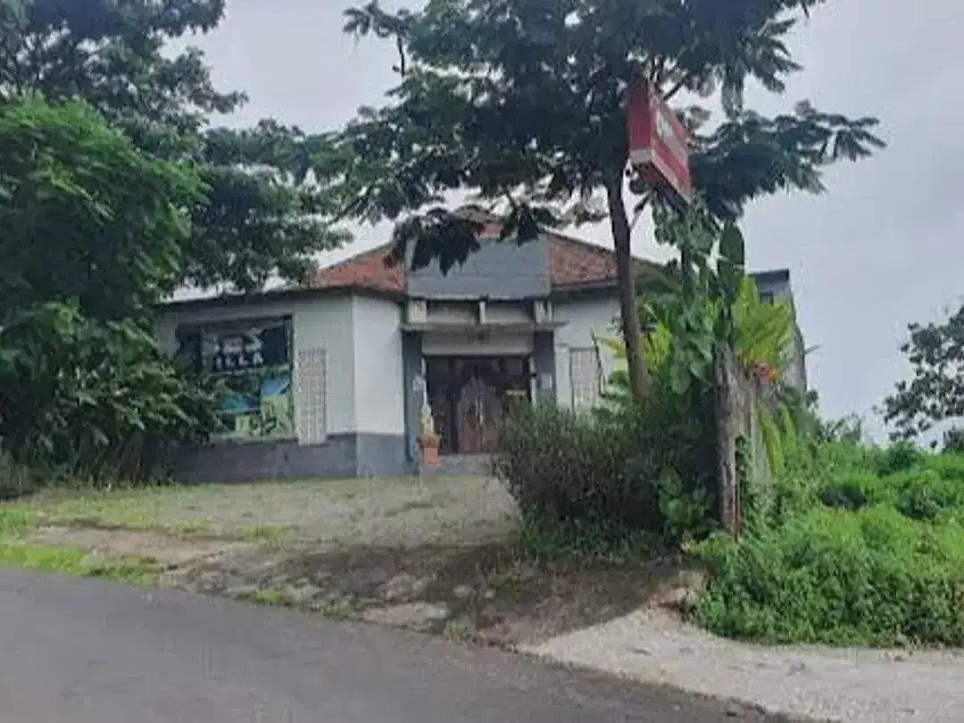 PENGINAPAN DIJUAL - 7BR - LOVINA, BULELENG - Image 6 of 6