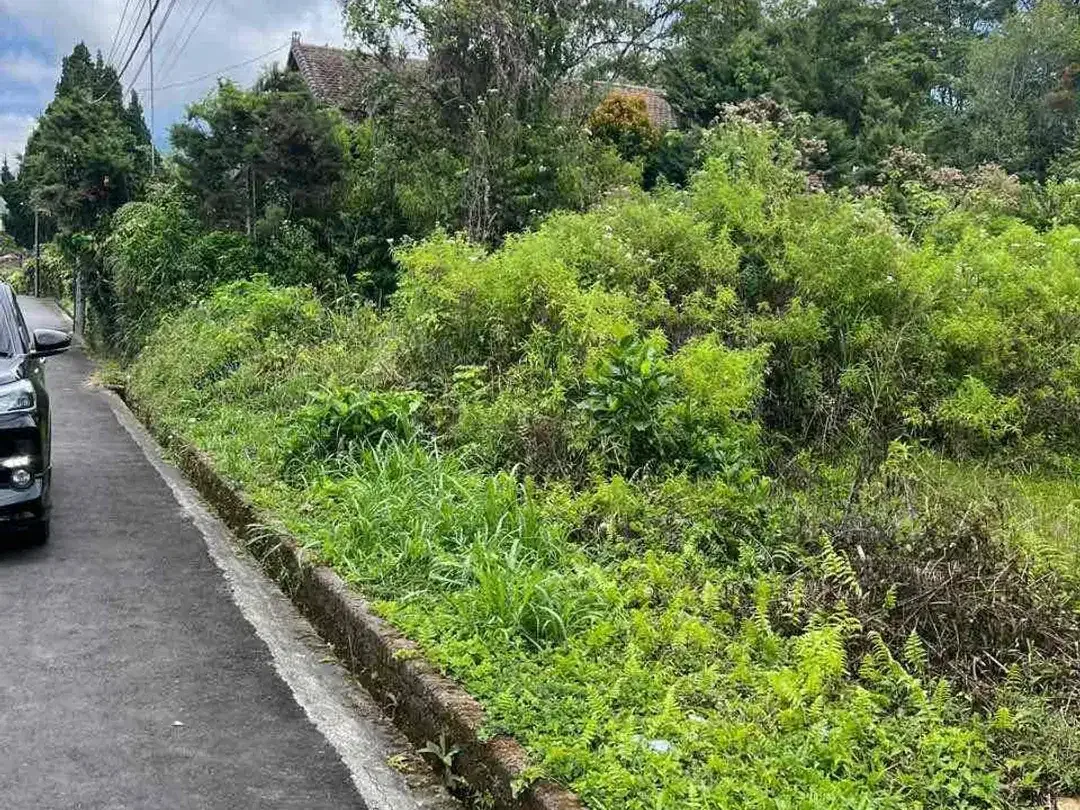 Dijual tanah lokasi PREMIUM di bedugul ( sebelah hotel the danau bedugul ) - Image 7 of 10