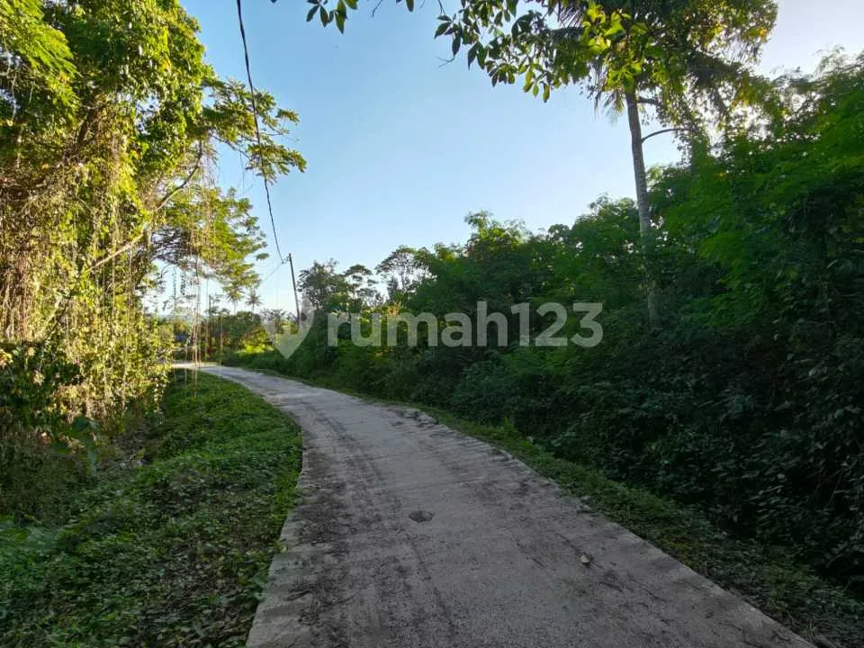 Tanah Istimewa!100 Meter Jalan Kaki ke Pantai Soan Galuh, Tabanan - Image 3 of 4