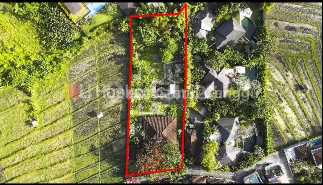 Tanah Dan Bangunan View Sawah di Banjar Semer Kerobokan - Image 3 of 4