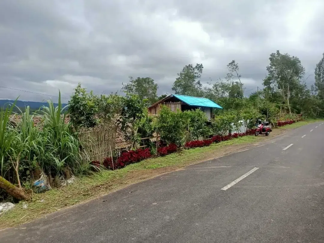 Dijual Tanah BUC Pinggir Jalan Utama Kintamani Barat - Image 4 of 4