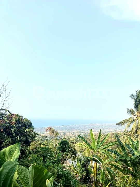 Direc Owner For Sale Premium Land And Local Ocean View House 2 Br In Aspal Road And City Light View - Image 4 of 4