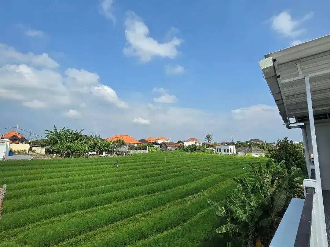 Dijual Villa Modern 3 Bedroom di Kayu Tulang Canggu dengan Pemandangan Sawah Terbuka - Image 10 of 10