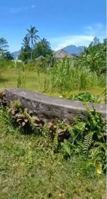 DIJUAL TANAH PINGGIR JALAN RAYA BATURITI BEDUGUL - Image 7 of 7