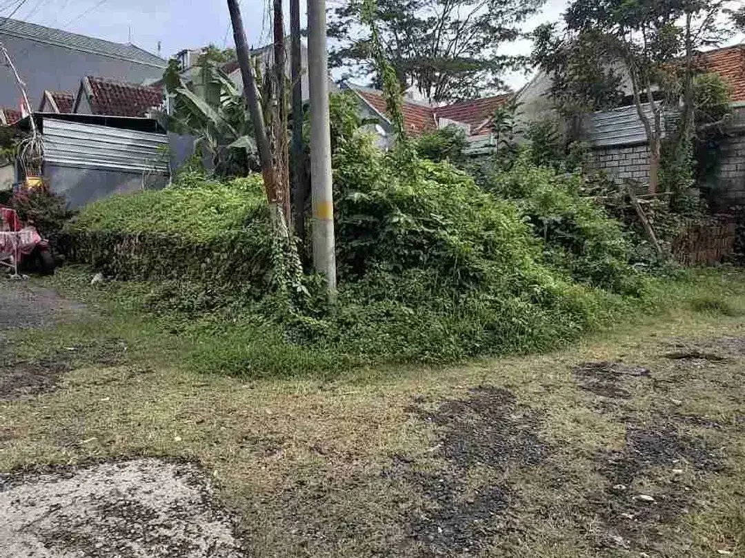 Jual Tanah luas 150m/1.5are di Pecatu Jl Arjuna area investasi untuk hunian atau komersial - Image 6 of 9