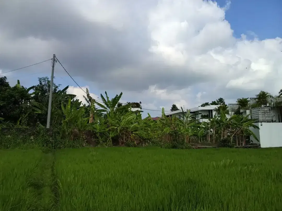 TANAH PREMIUM VIEW SAWAH – TUMBAK BAYUH, PERERENAN - Image 6 of 10