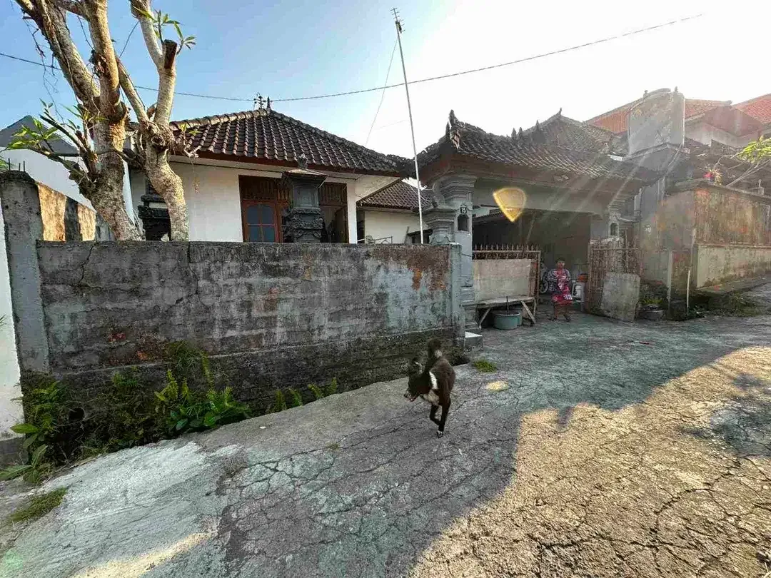 RUMAH KOST LANTAI I UNTUK DIJUAL DI MUNGGU BANTAS - Image 2 of 7