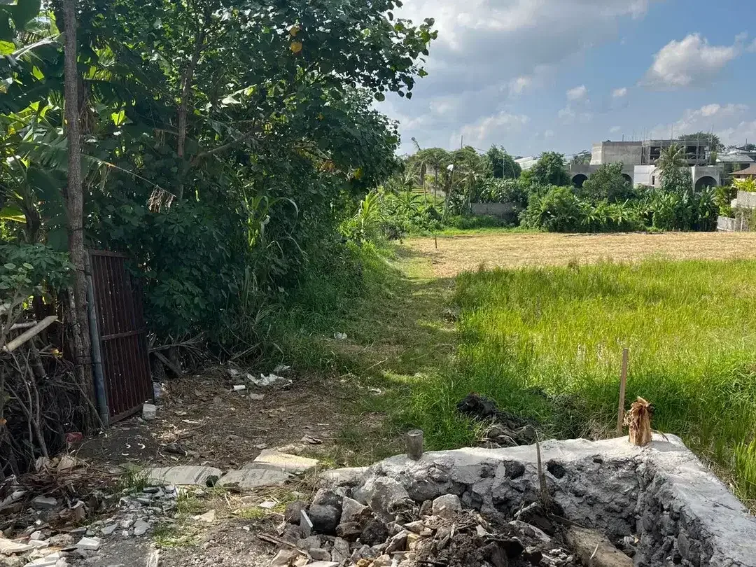 Land for sale in Mengwi, Bali - Image 7 of 10