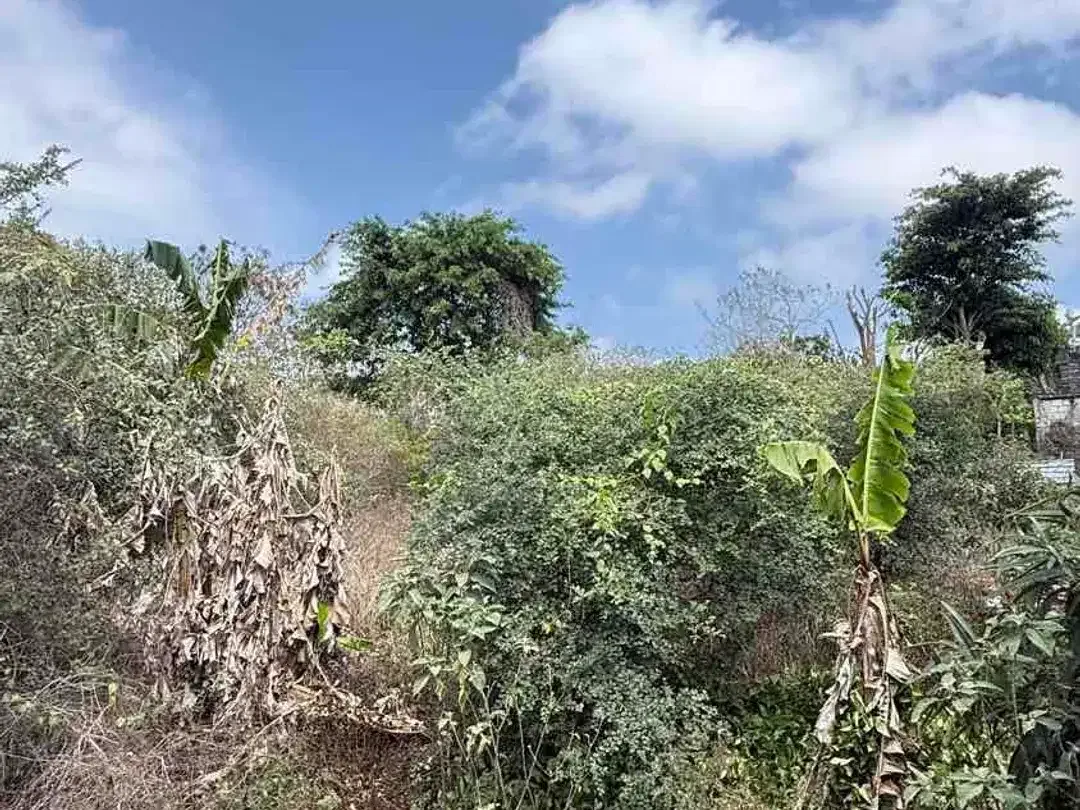 DIJUAL MURAH TANAH VIEW GWK DI JL BALI CLIFF, UNGASAN – BALI - Image 3 of 10