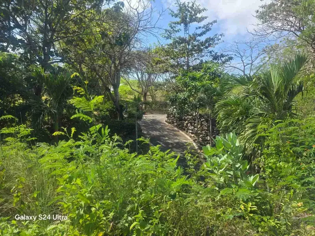 Jual Tanah Luas 6.06Hektar Zona Pink /Zona Pariwisata Jl Gunung Payung ,ungasan - Bali - Image 6 of 8