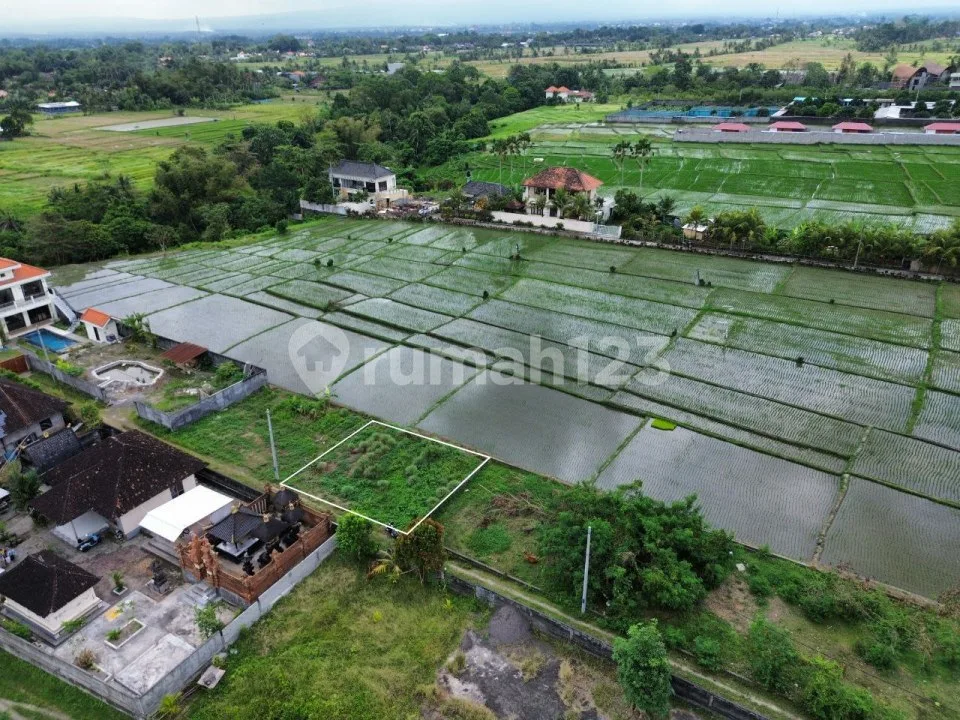 Tanah View sawah Green Belt - Kaba Kaba tabanan 200m2 - Image 1 of 4