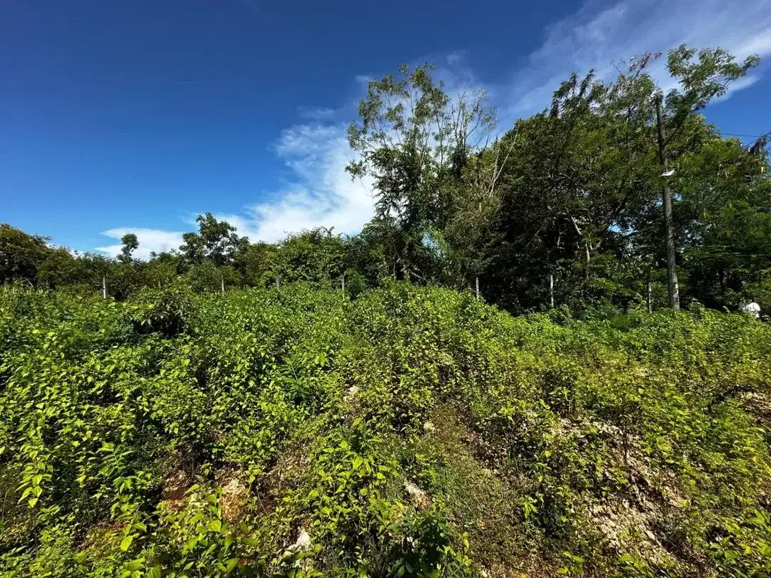 Dijual Tanah 760m² Zona Komersial Kutuh Nusa Dua – Bonus 140m² - Image 3 of 5