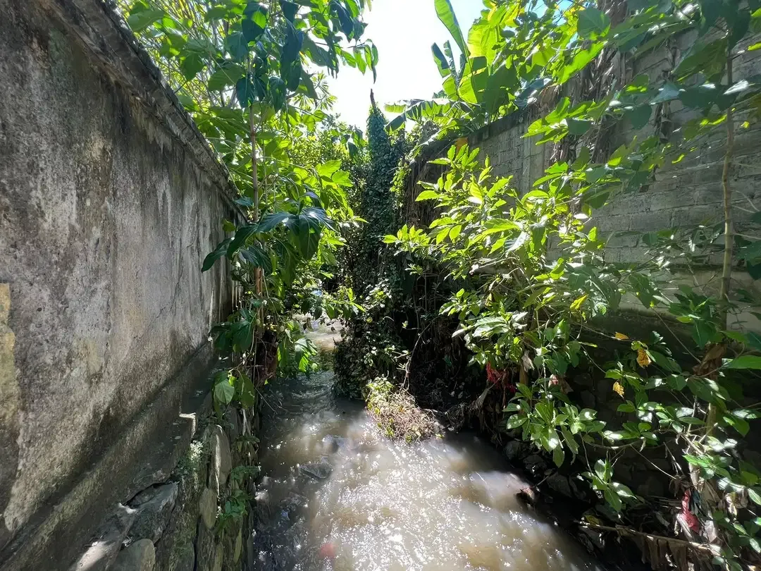 Dijual Tanah di Jalan Tangkuban Perahu Kerobokan - Image 5 of 8