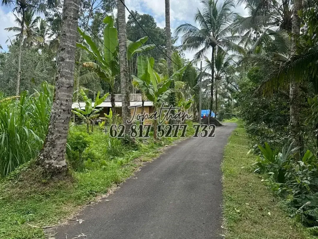 Dijual Tanah SHM Pinggir Jalan Raya 2 Are di Br. Sema Payangan Ubud Bali - Image 7 of 8