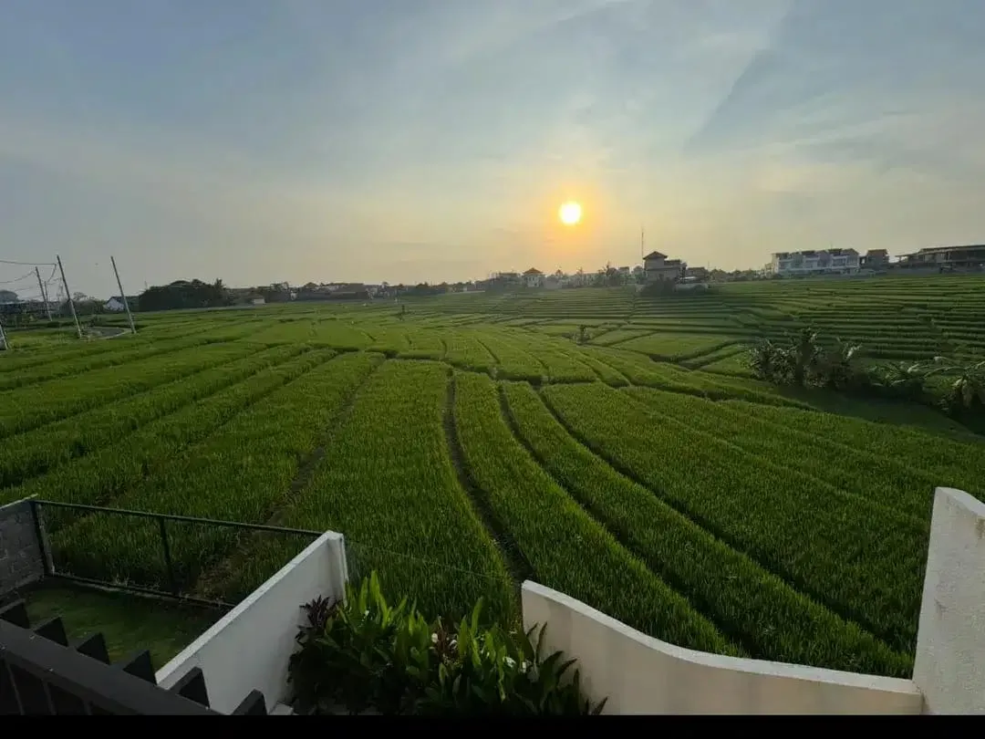 Vila Baru Dengan Pemandangan Sawah dan Hanya 1 Kilometer Dari Pantai Cemagi! - Image 4 of 10