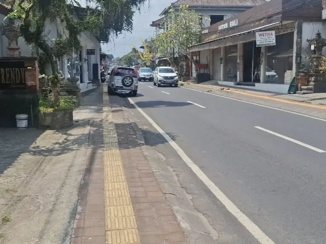 DIJUAL TANAH PINGGIR JALAN UTAMA UBUD - Image 3 of 5