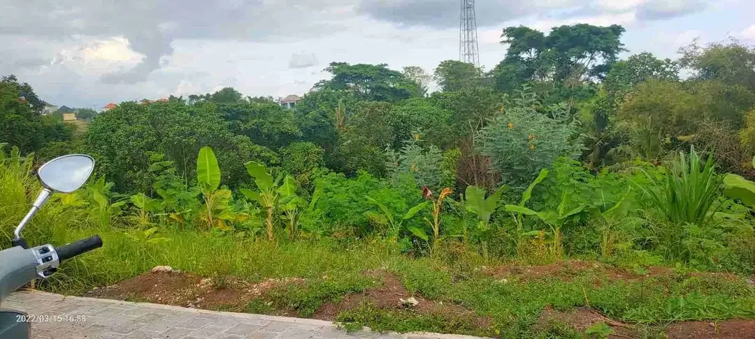 DIJUAL TANAH LOS SUNGAI NYANYI TABANAN - Image 2 of 5