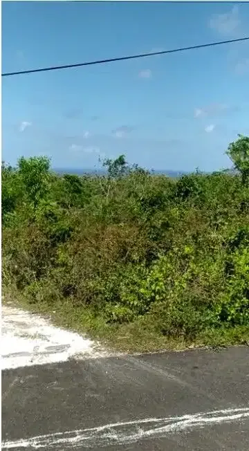 Leased Land 16 acres at Tukad Selatan Ungasan - Image 1 of 10