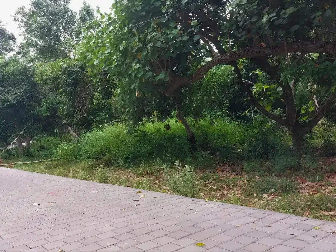 [For Sale] 2 are Tanah di Pecatu Zona Kuning Siap Bangun - Image 10 of 10