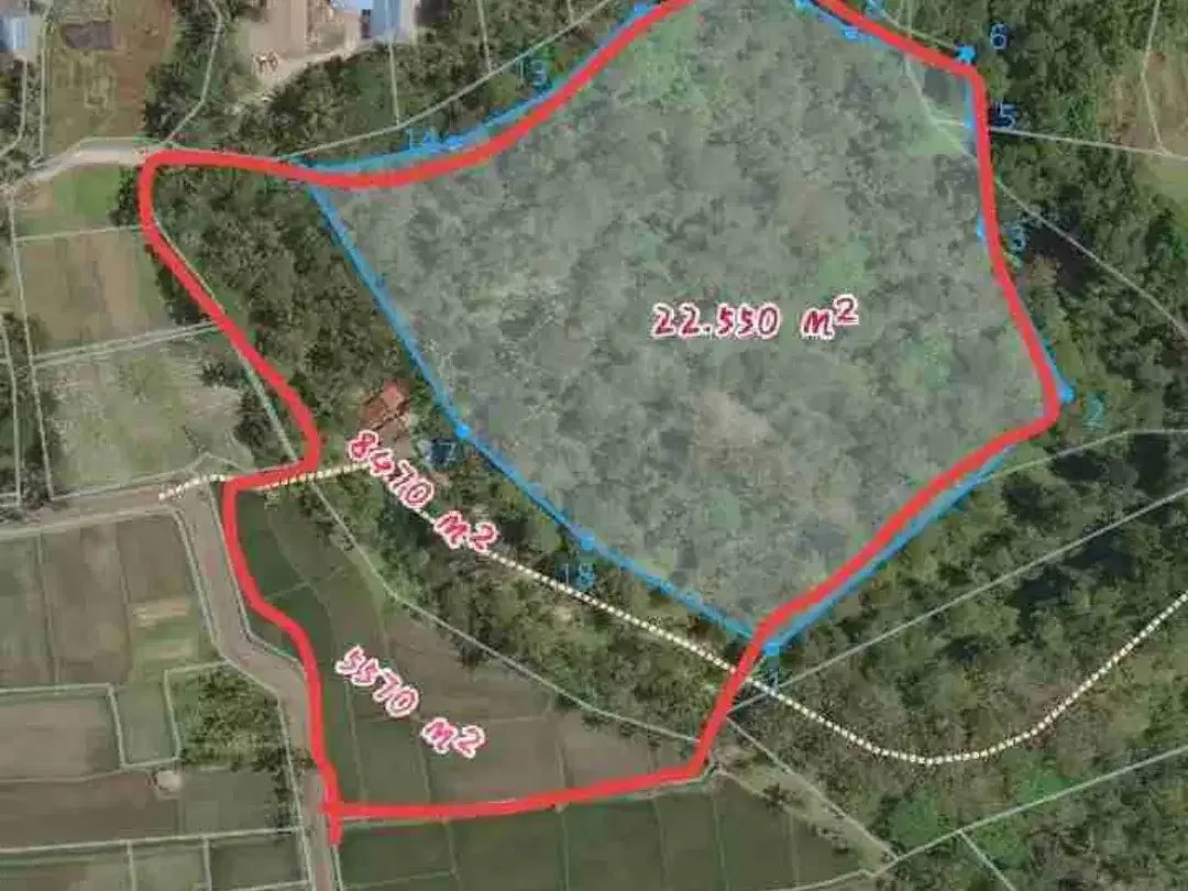 Tanah 3,6 Ha Los Sungai Ayung Petang Badung - Image 1 of 7