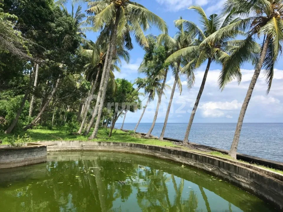 Tanah Cocok Villa Tepi Pantai Tejakula Buleleng Bali S7232 - Image 3 of 4