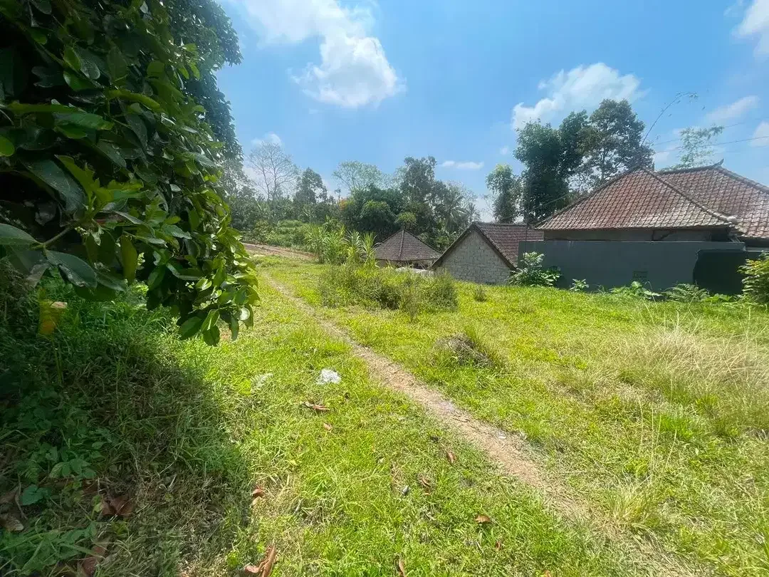TANAH KOSONG DI BATURITI TABANAN BALI DEKAT STASIUN RADIO - Image 9 of 10